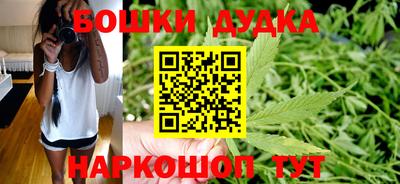 сатива Боровичи