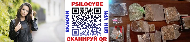 Галлюциногенные грибы Cubensis  хочу   Богданович 