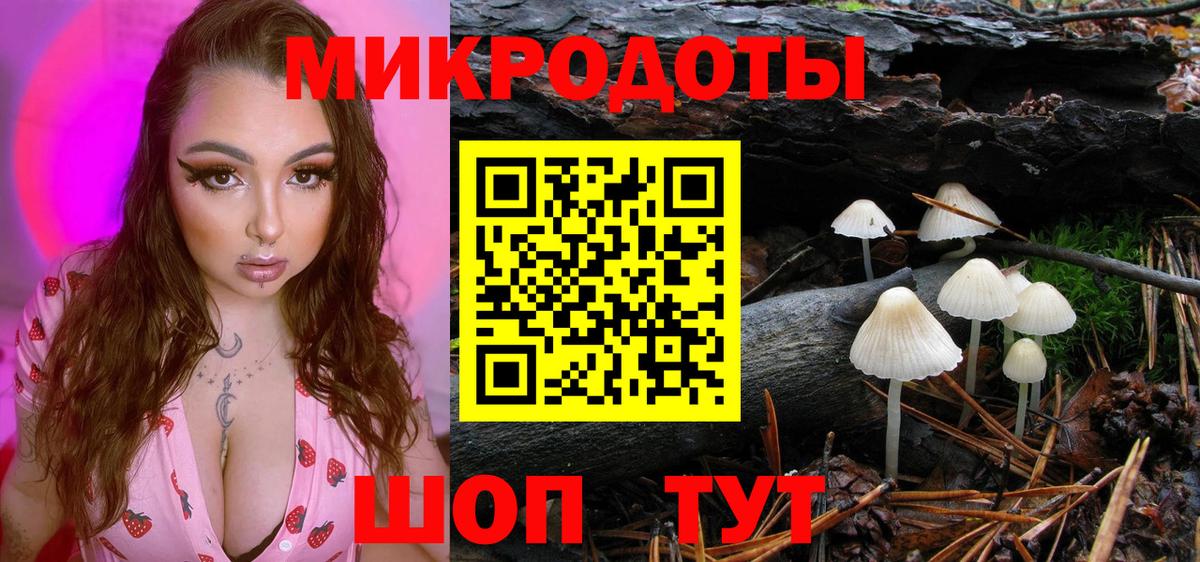 Галлюциногенные грибы MAGIC MUSHROOMS Богданович